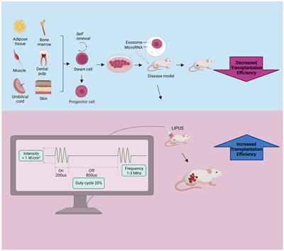 Latest progress in low-intensity pulsed ultrasound for studying exosomes derived from stem/progenitor cells